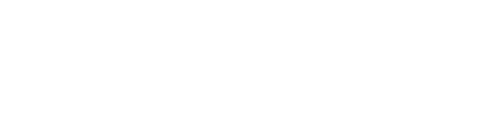 NetSecureTools Logo